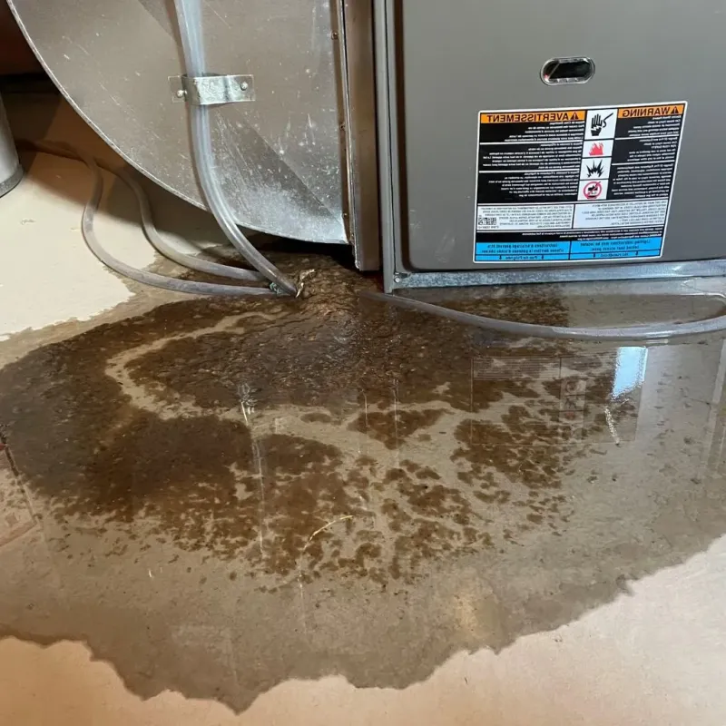 Pipe Burst and Leak Restoration in Kiowa County, OK